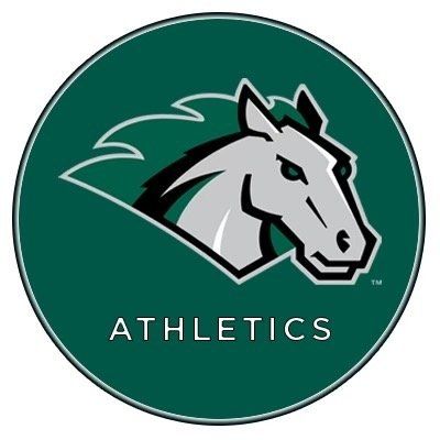 Stevenson University Athletics