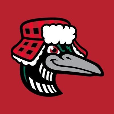 Great Lakes Loons