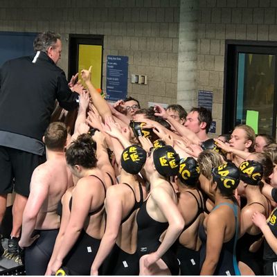 Gustavus Swimming & Diving