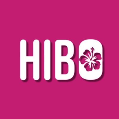 HIBO ENERGY