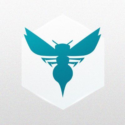 Charlotte Hornets