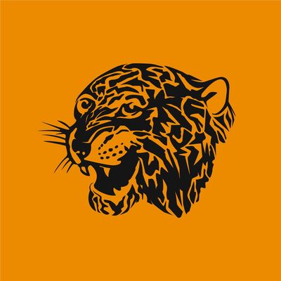 Hull City