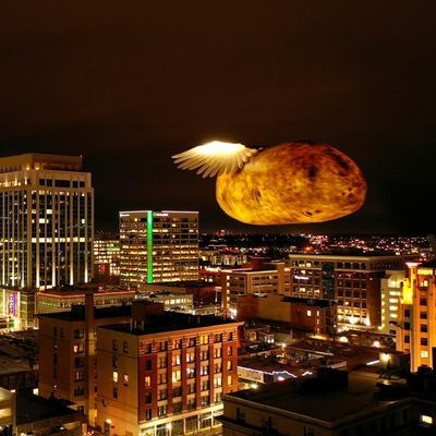 🥔 Idaho Potato Drop🥔