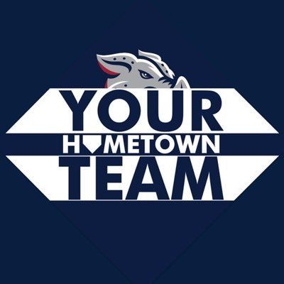 IronPigs