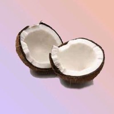Coconut
