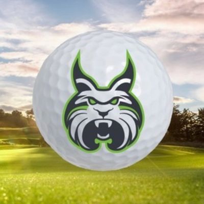 Lesley Men’s Golf