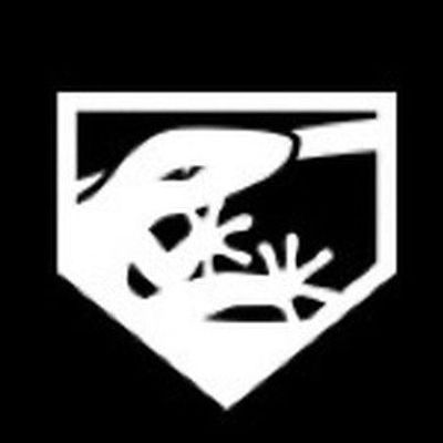 Lizard Skins Baseball/Softball