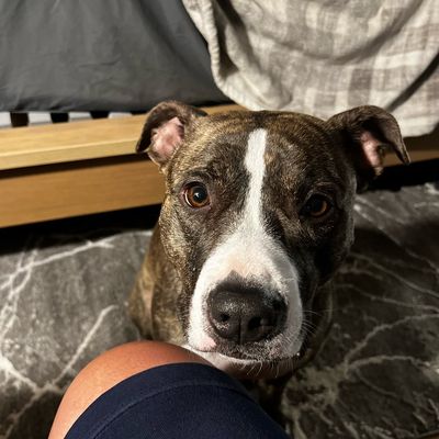 Lola