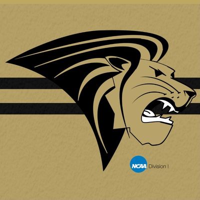 Lindenwood Men’s Ice Hockey NCAA