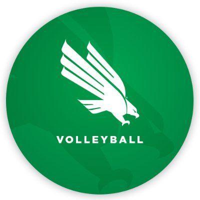 Mean Green Volleyball