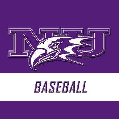 Niagara Baseball
