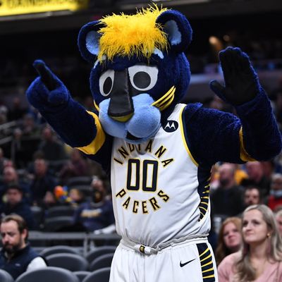 Pacers Boomer