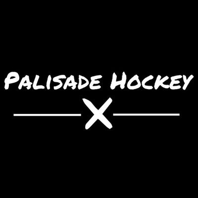 Palisade Hockey Skill Training