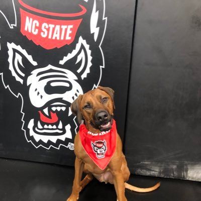 🐺🔴⚫️Pat Popolizio