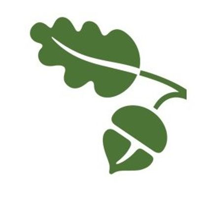 Phil Hardberger Park