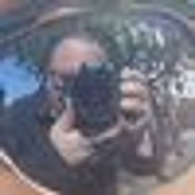 Al Palacio Photography