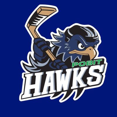 Plainview Old Bethpage Island Trees- Ice Hockey Club