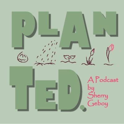 𝑷𝑳𝑨𝑵𝑻𝑬𝑫