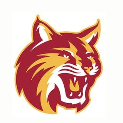 Saddleback Bobcats