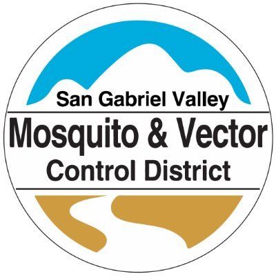 SGVmosquito🦟