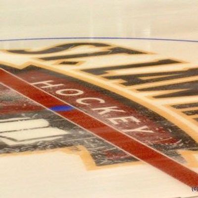 St. Lawrence Women's Hockey