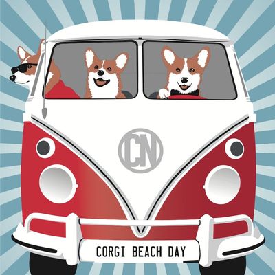 Corgi Beach Day