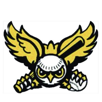 Statesville Owls