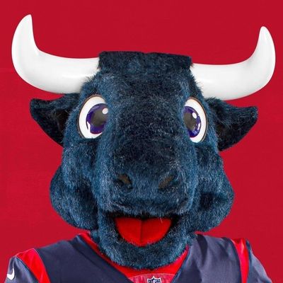 TORO 🐃