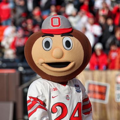 Brutus Buckeye