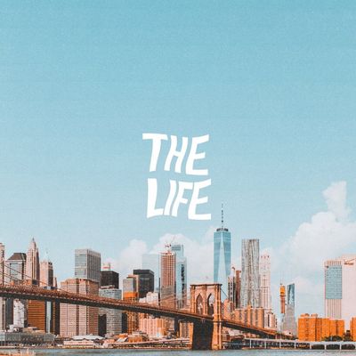 TLP™️