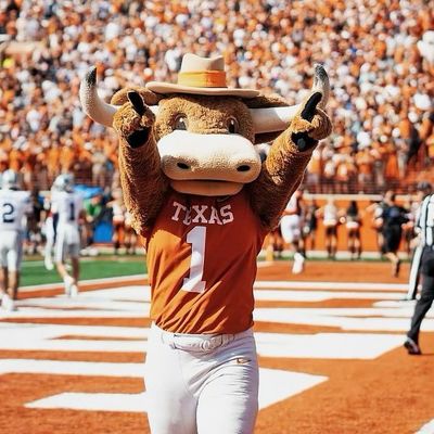 Hook ‘Em