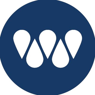The Water Valley Company