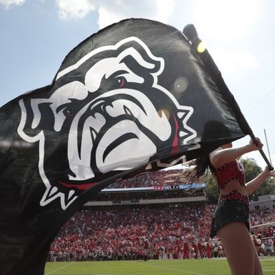 UGA Flagline