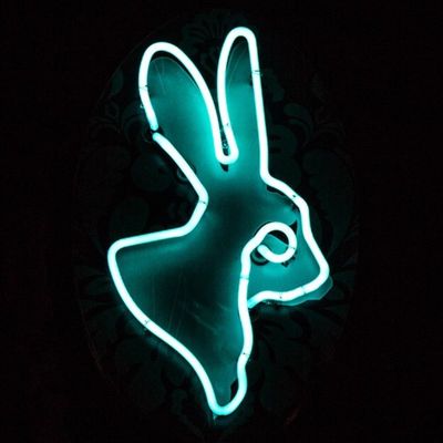 Velveteen Rabbit 🐇