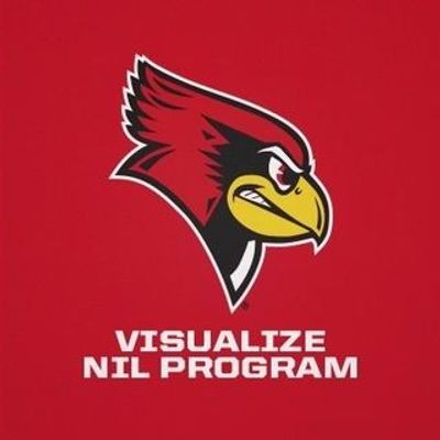 vISUalizeNIL