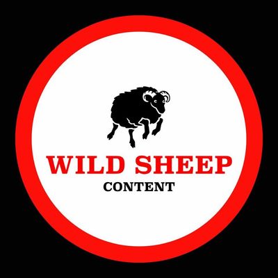Wild Sheep Content