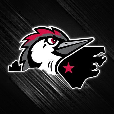 Fayetteville Woodpeckers