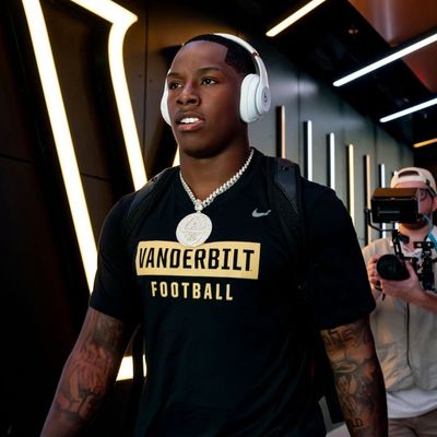 Seddy 🦍
