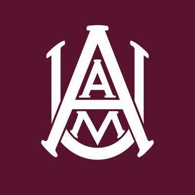 aamu1875