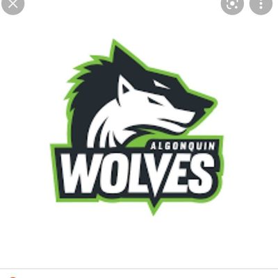 Algonquin Men’s Basketball