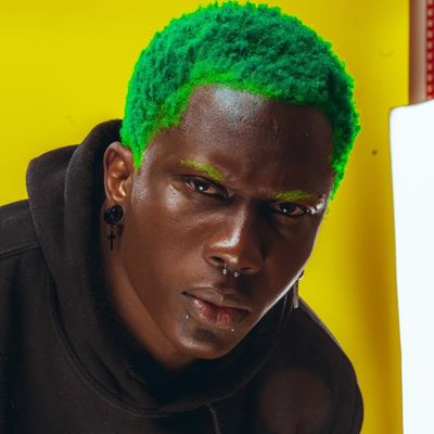 STEEVE AUKINGSO ALIAS ANIMAL SHADOW