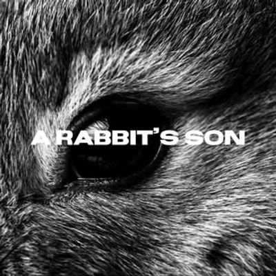 A Rabbit’s Son