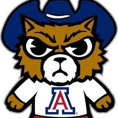 azbandcatsports