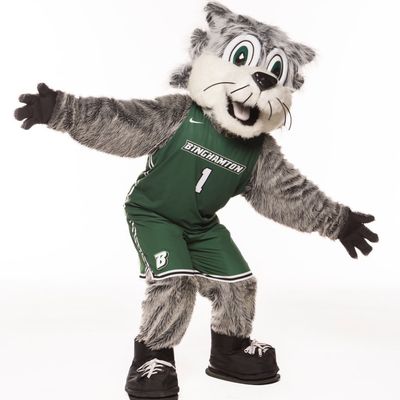 Baxter the Bearcat