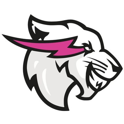 Beast Philanthropy