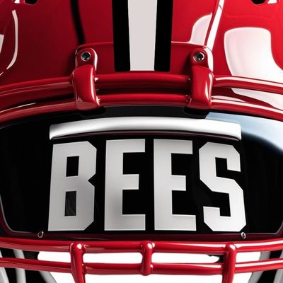 Baldwinsville Bees Football (New Era)