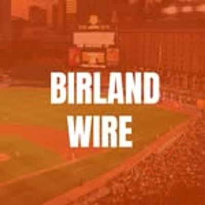 Birdland Wire