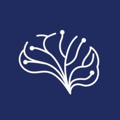 The Brain & Performance Centre | مركز التميز الذهني و البدني