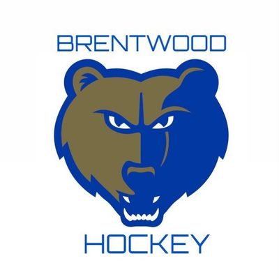 BRUINS HOCKEY TEAM