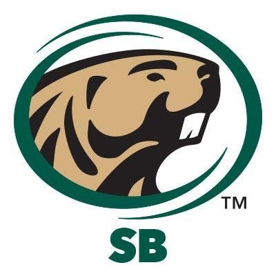 Bemidji State Beavers Softball